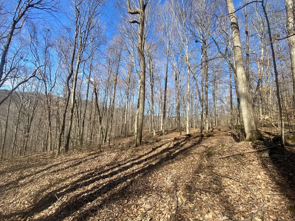 Lot 26 Apache Road Jamestown TN 38556