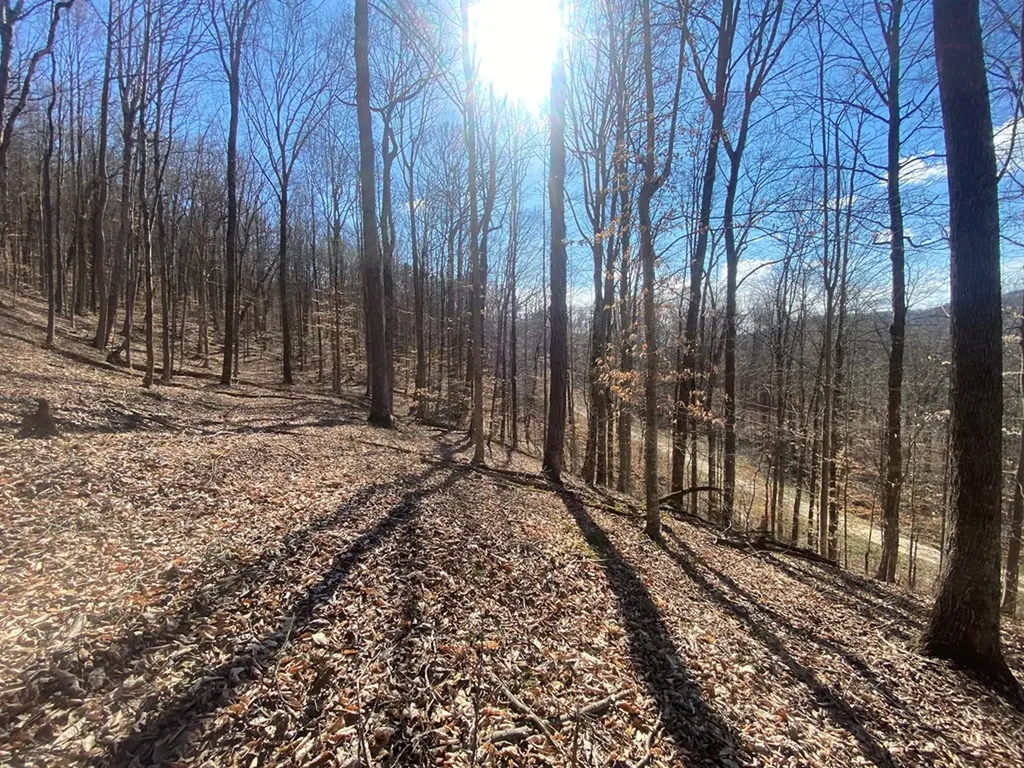 Lot 26 Apache Road Jamestown TN 38556