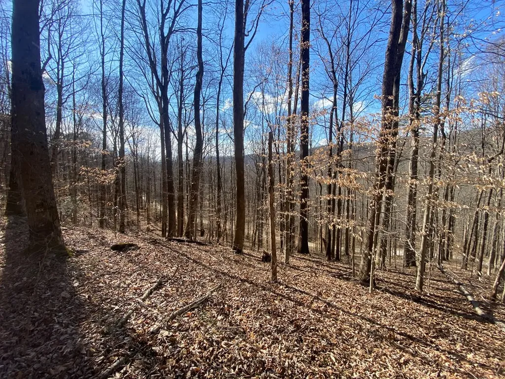 Lot 26 Apache Road Jamestown TN 38556