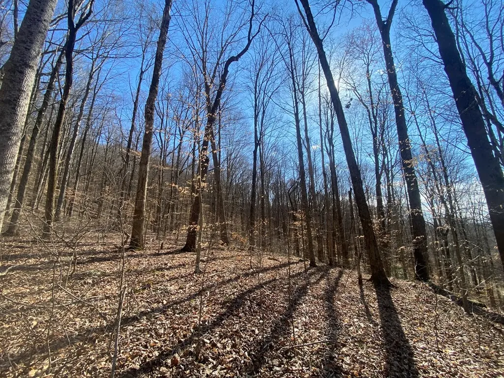 Lot 26 Apache Road Jamestown TN 38556