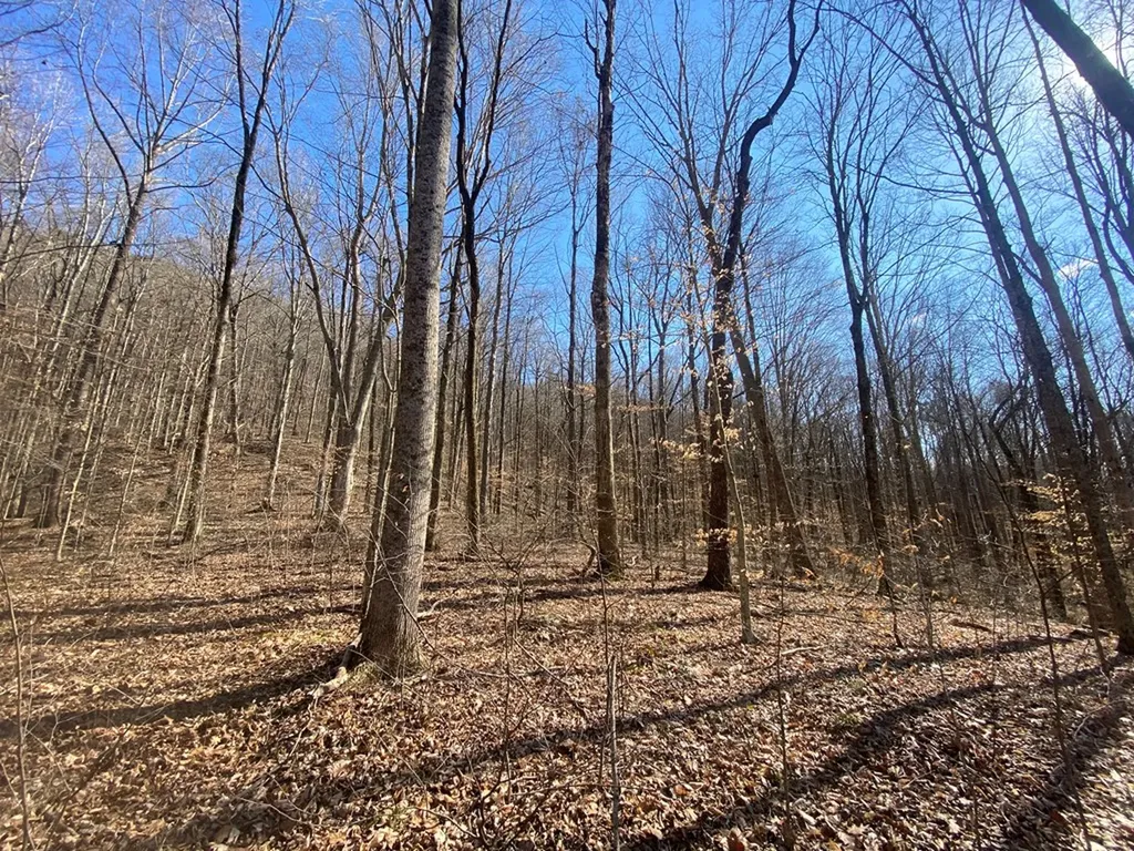 Lot 26 Apache Road Jamestown TN 38556