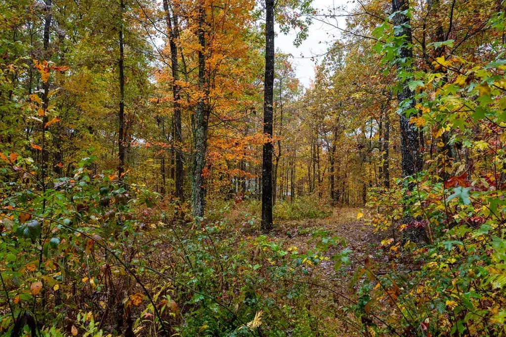 00 Roanoke Jamestown TN 38556