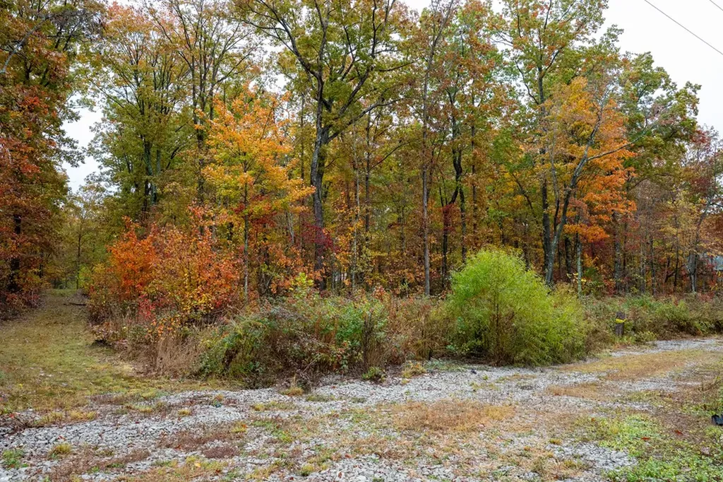 00 Roanoke Jamestown TN 38556