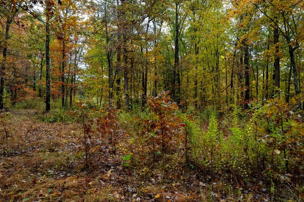 00 Roanoke Jamestown TN 38556