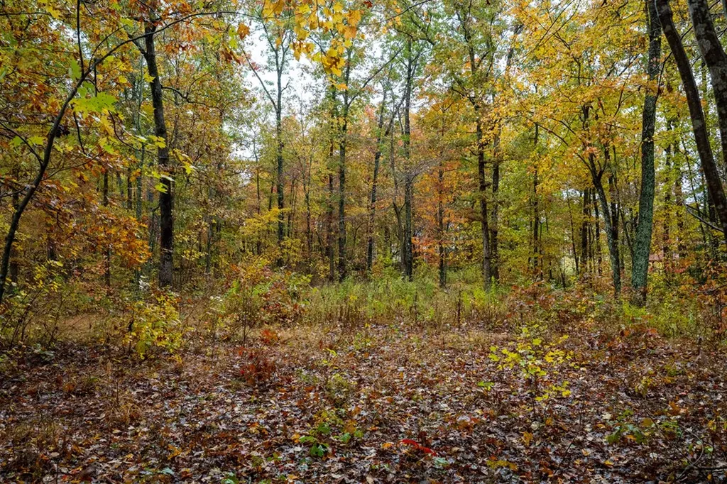00 Roanoke Jamestown TN 38556