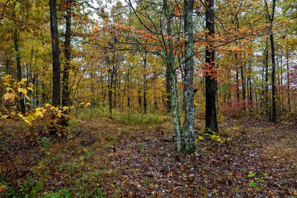 00 Roanoke Jamestown TN 38556