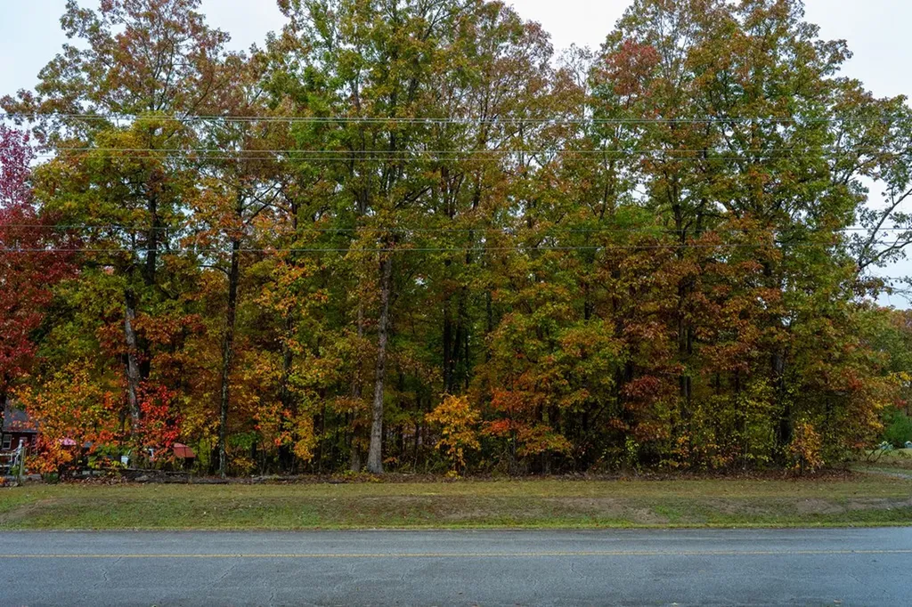 00 Roanoke Jamestown TN 38556