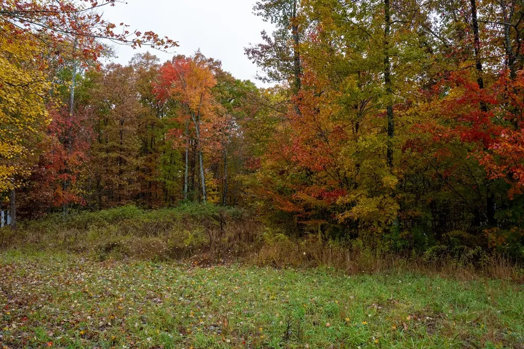 00 Roanoke Jamestown TN 38556