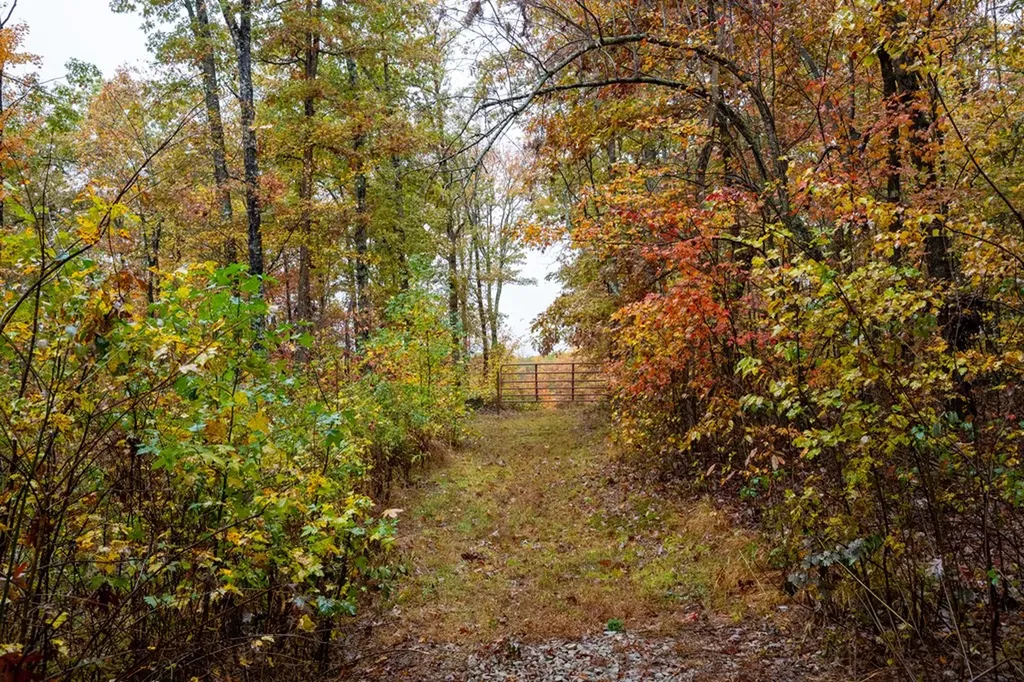 00 Roanoke Jamestown TN 38556