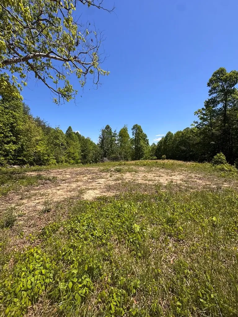 3088 Buckner Road Monterey TN 38574