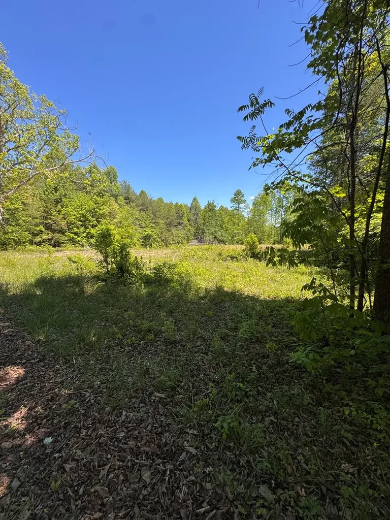 3088 Buckner Road Monterey TN 38574