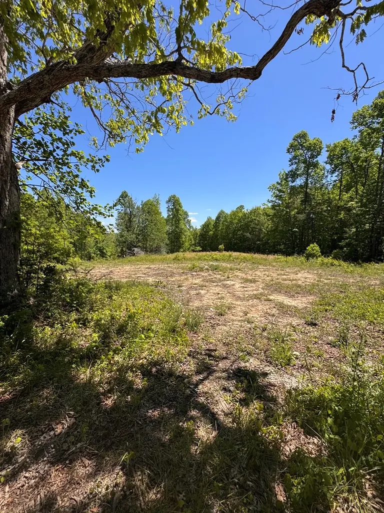 3088 Buckner Road Monterey TN 38574