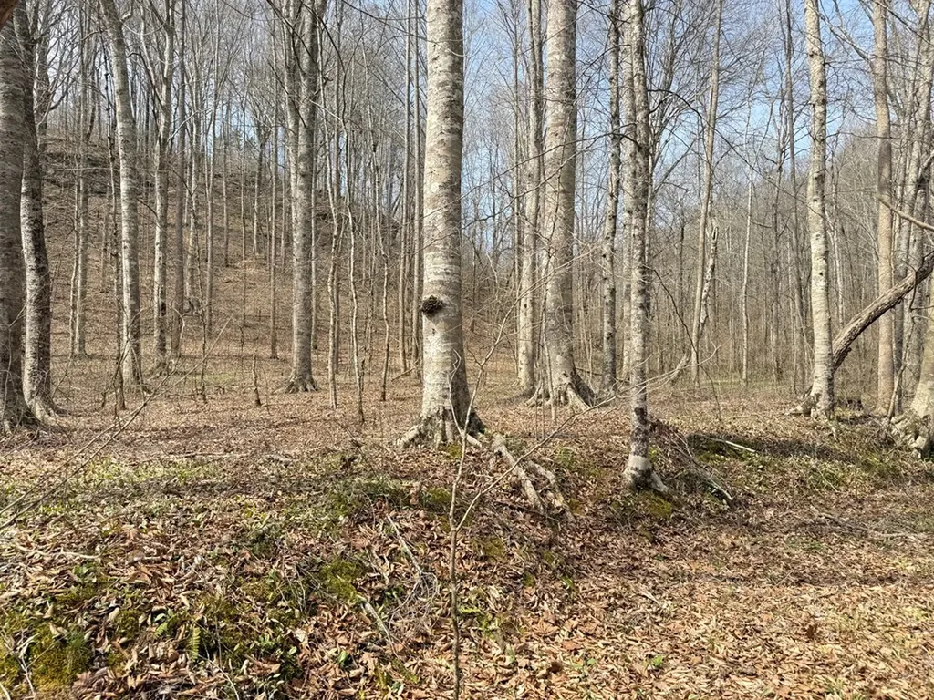 335 Nelson Cemetery Road Monroe TN 38573