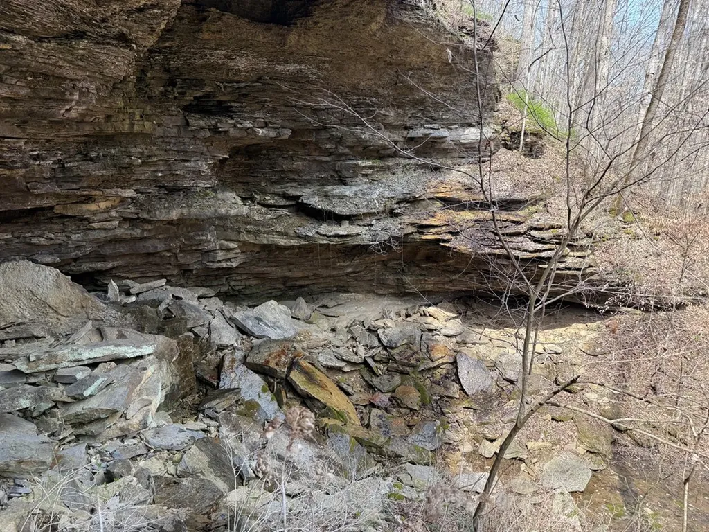 335 Nelson Cemetery Road Monroe TN 38573