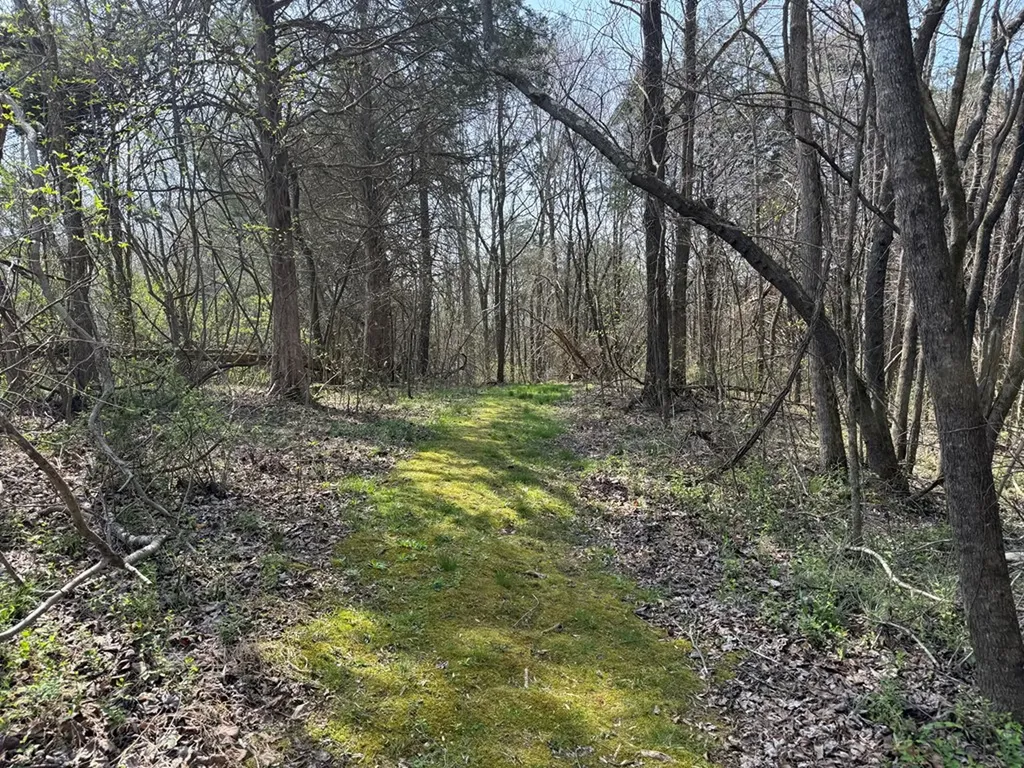335 Nelson Cemetery Road Monroe TN 38573