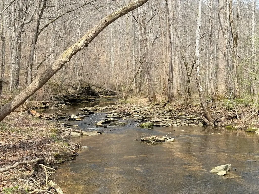 335 Nelson Cemetery Road Monroe TN 38573