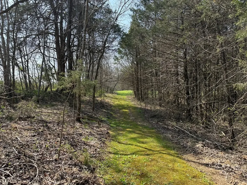 335 Nelson Cemetery Road Monroe TN 38573