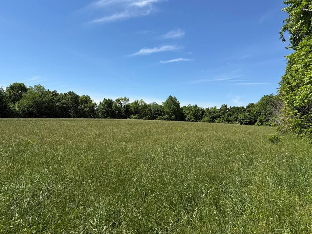 335 Nelson Cemetery Road Monroe TN 38573