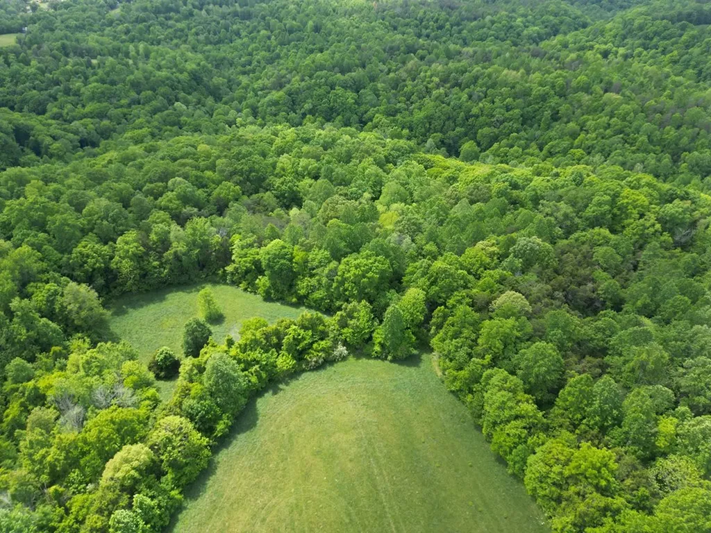 335 Nelson Cemetery Road Monroe TN 38573