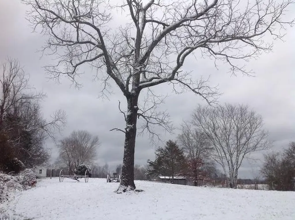 335 Nelson Cemetery Road Monroe TN 38573