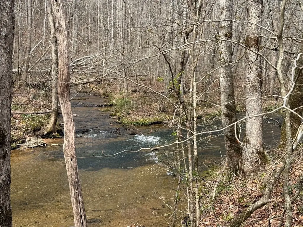 335 Nelson Cemetery Road Monroe TN 38573