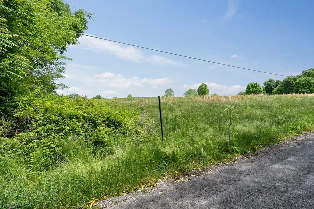 0 Joines Road Smithville TN 37166