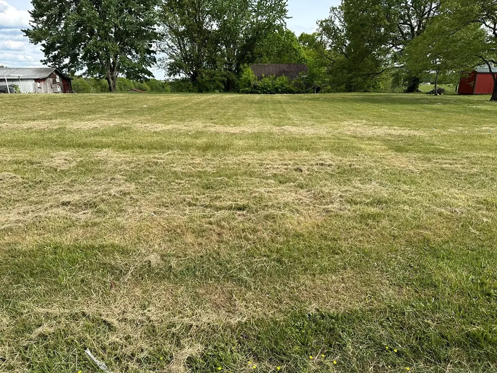 2065 Clarkrange-monterey Highway Monterey TN 38574