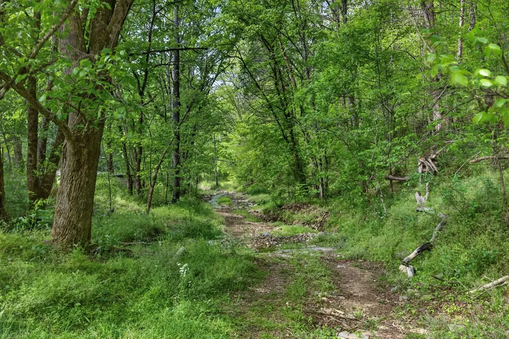 700 Ben Birdwell Lane Bloomington Springs TN 38545