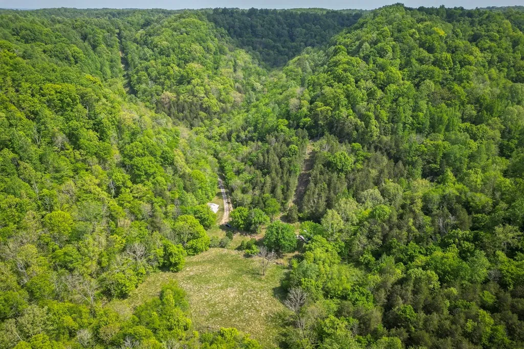 700 Ben Birdwell Lane Bloomington Springs TN 38545