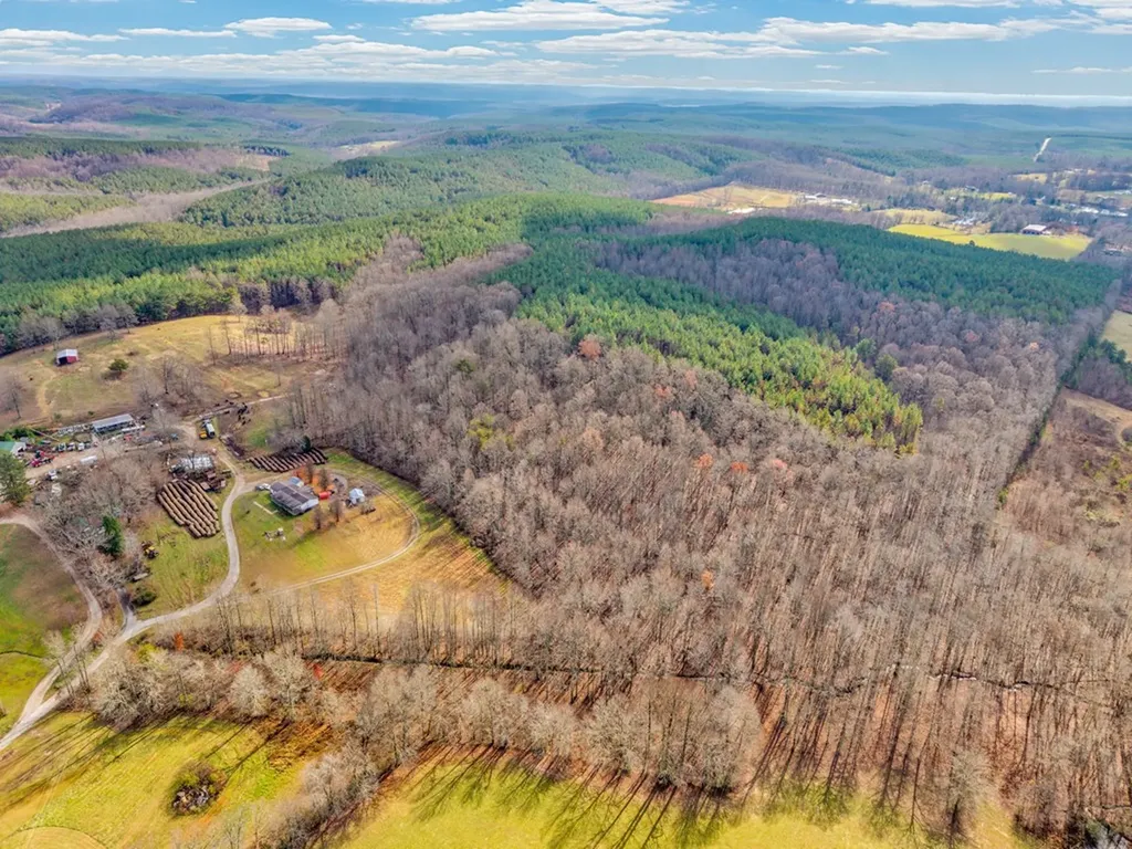 170 Perrigan Lane Sparta TN 38583