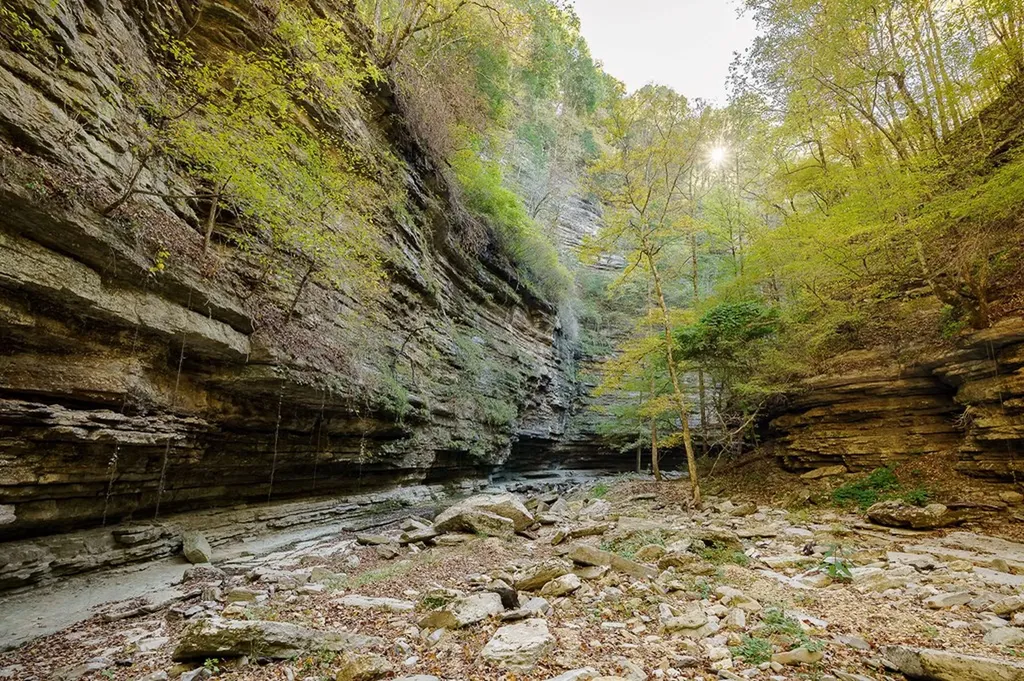 1050 Pine Creek Falls Road Smithville TN 37166