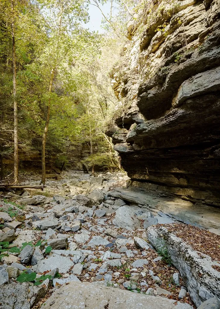 1050 Pine Creek Falls Road Smithville TN 37166