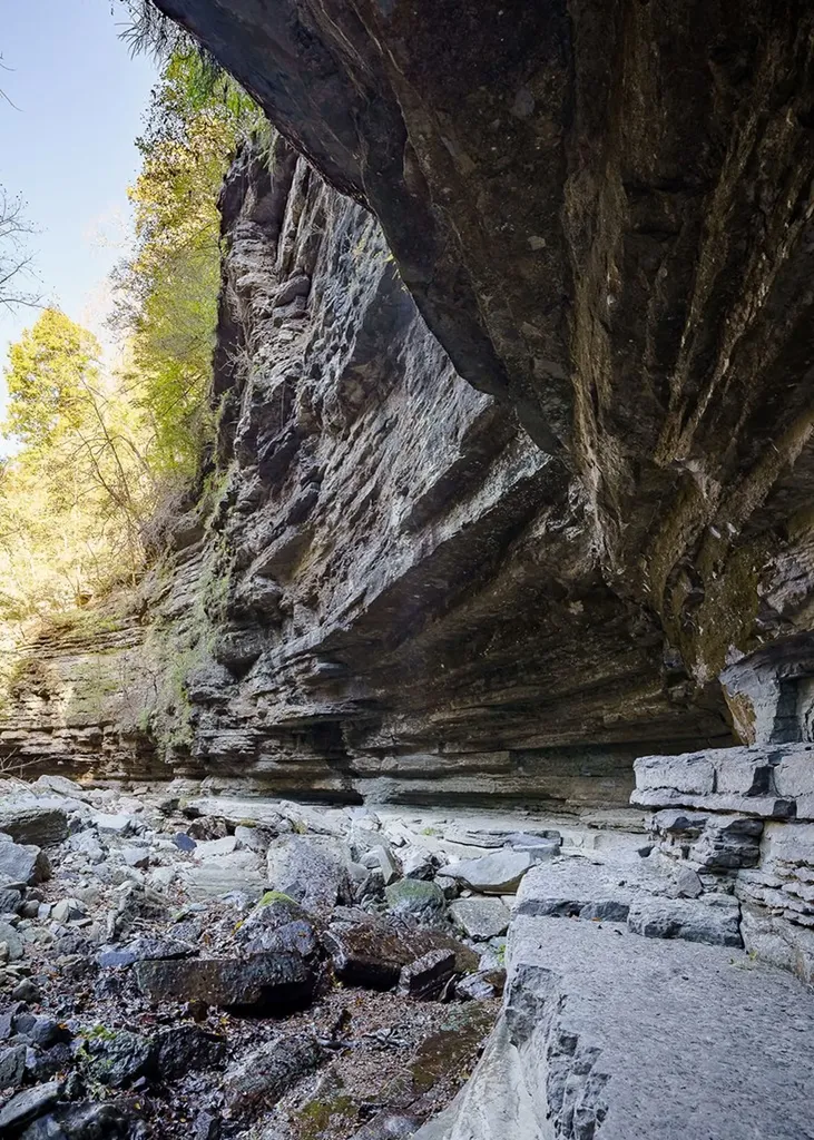 1050 Pine Creek Falls Road Smithville TN 37166