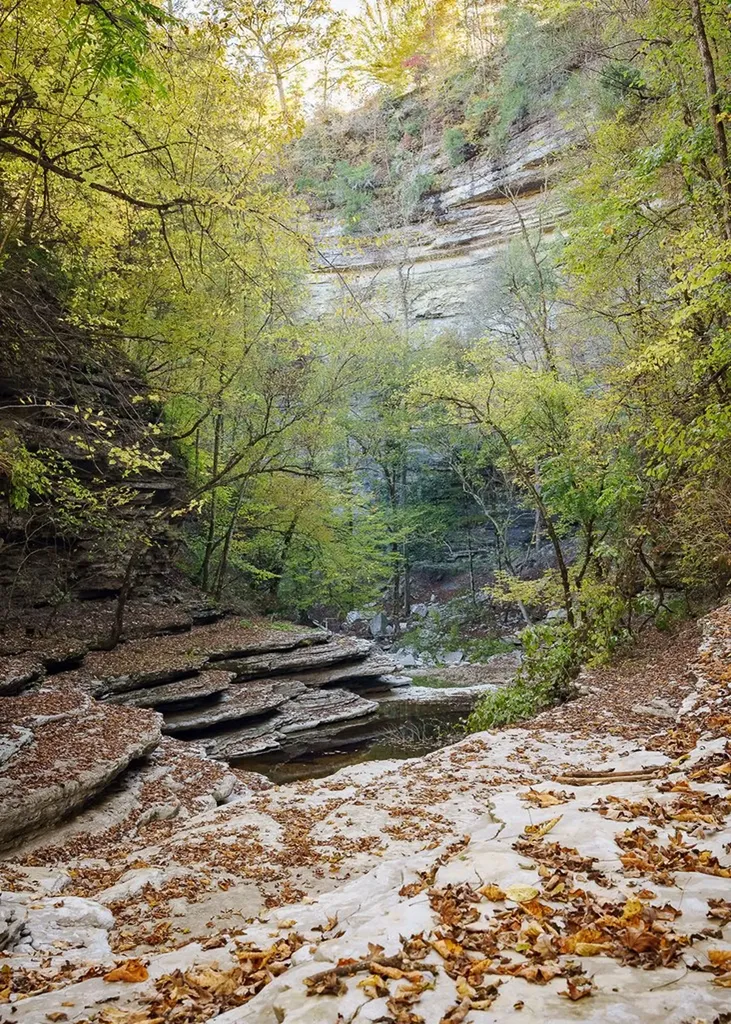 1050 Pine Creek Falls Road Smithville TN 37166