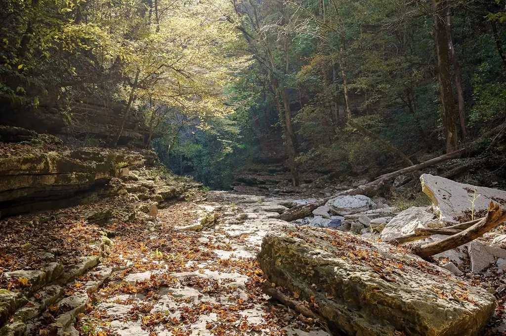 1050 Pine Creek Falls Road Smithville TN 37166