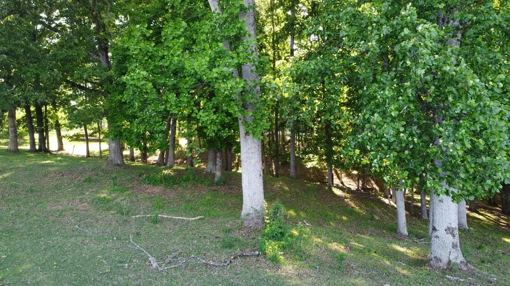 143 W Griffintown Road Sparta TN 38583