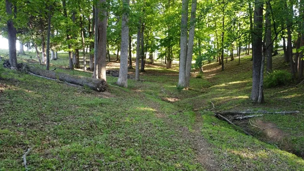 143 W Griffintown Road Sparta TN 38583