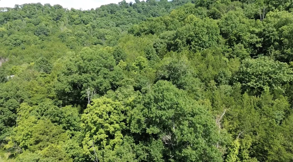 0 Hackett Hollow Ln Lot 2 Pleasant Shade TN 37145
