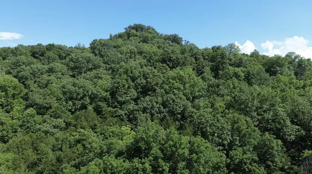 0 Hackett Hollow Ln Lot 1 Pleasant Shade TN 37145
