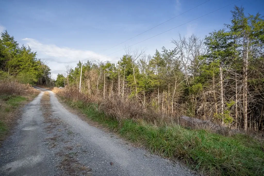 0 Martins Creek Highway Granville TN 38564