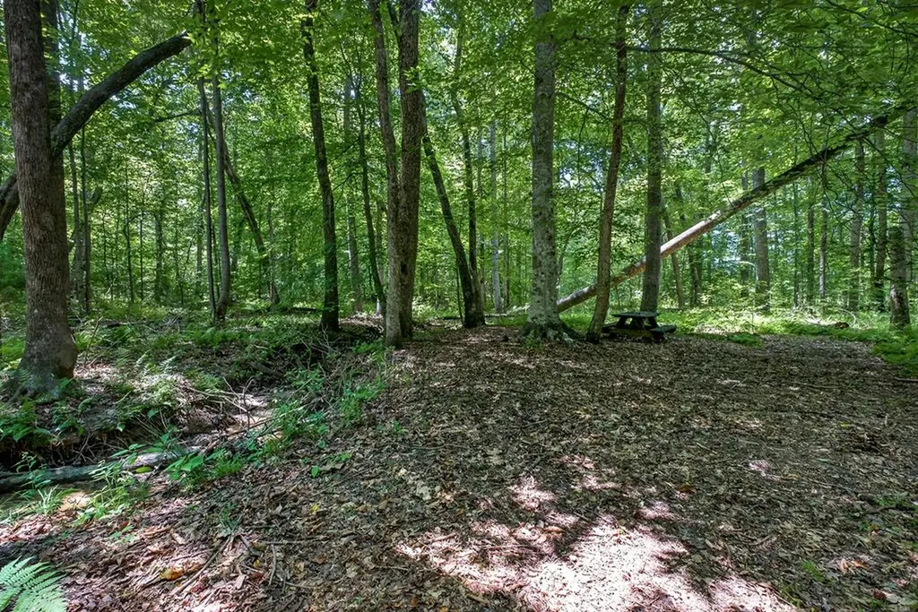 2025 Old Bon Air Road Sparta TN 38583