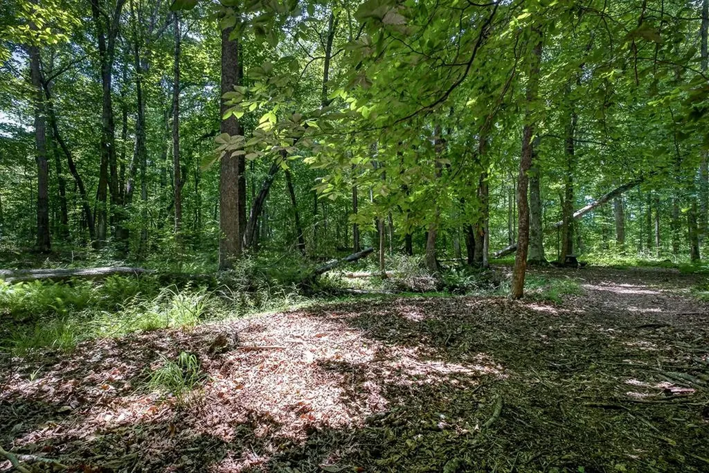 2025 Old Bon Air Road Sparta TN 38583