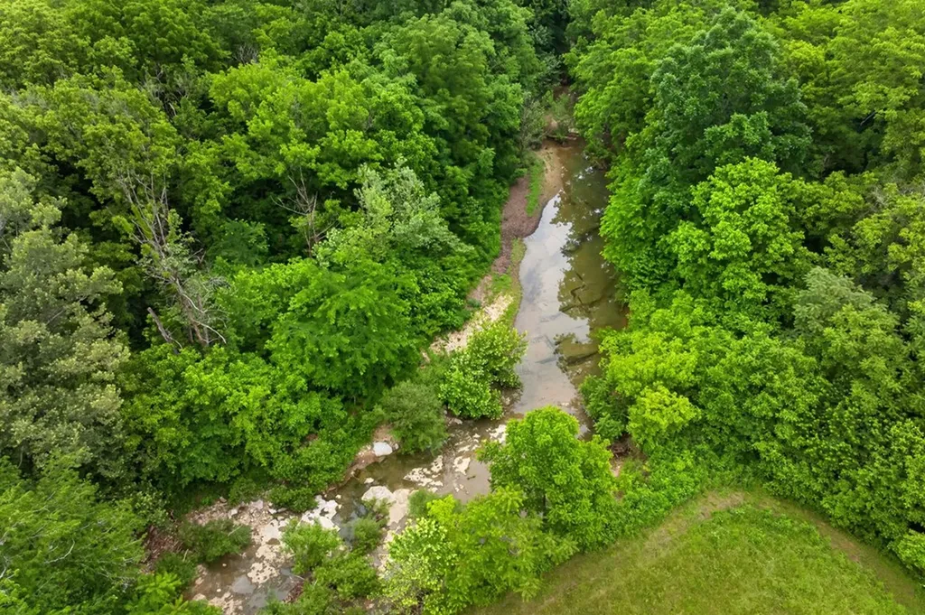8029 Brimstone Creek Road Whitleyville TN 38588