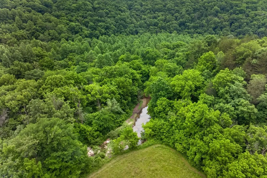 8029 Brimstone Creek Road Whitleyville TN 38588