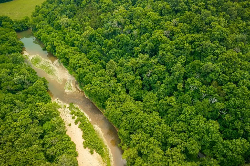 00 Spring Creek Road Cookeville TN 38501