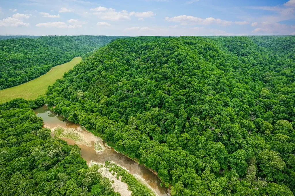 00 Spring Creek Road Cookeville TN 38501