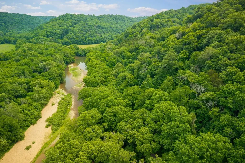 00 Spring Creek Road Cookeville TN 38501