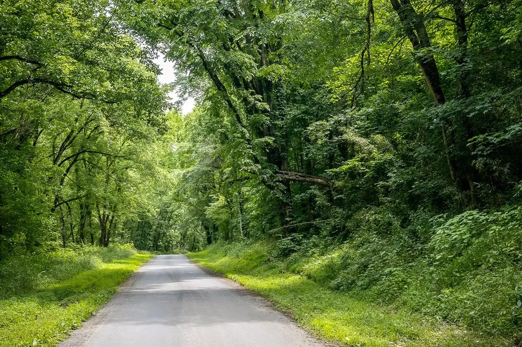 00 Spring Creek Road Cookeville TN 38501