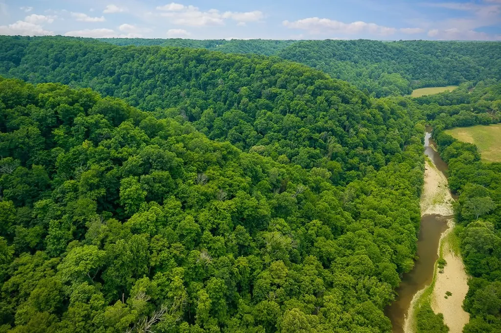 00 Spring Creek Road Cookeville TN 38501