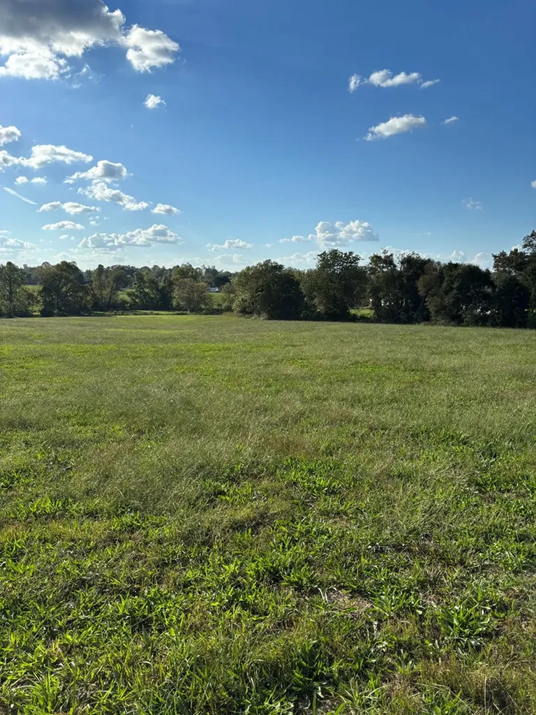 0 Eaton 0 Eaton Road, 10.93 Ac Cookeville TN 38501
